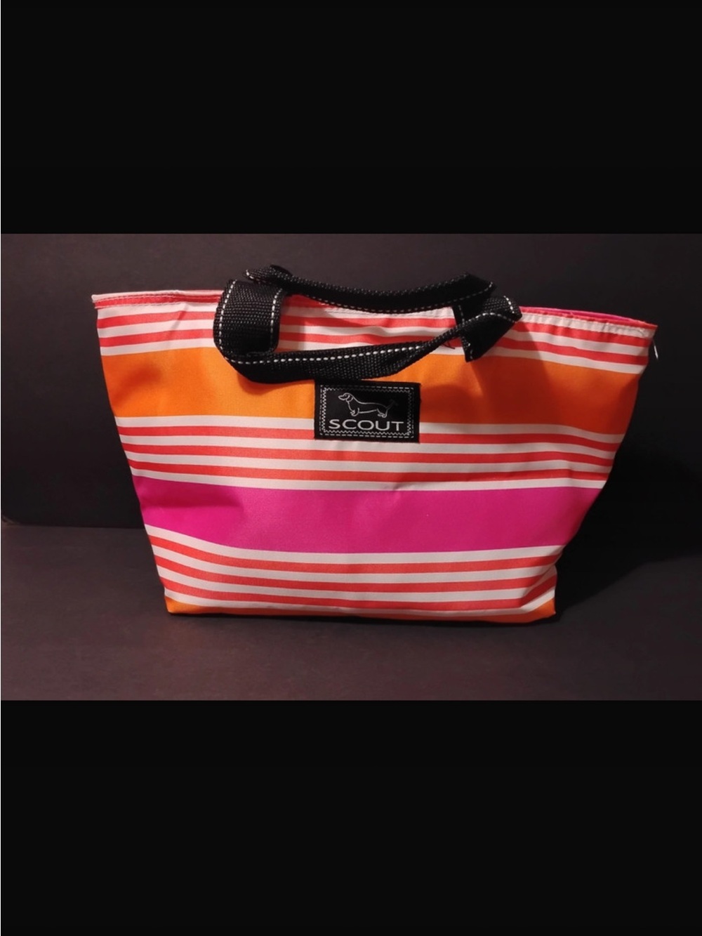 Scout Striped Tote in Pink, Orange and White with Black Handles